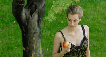 Alles Apfel